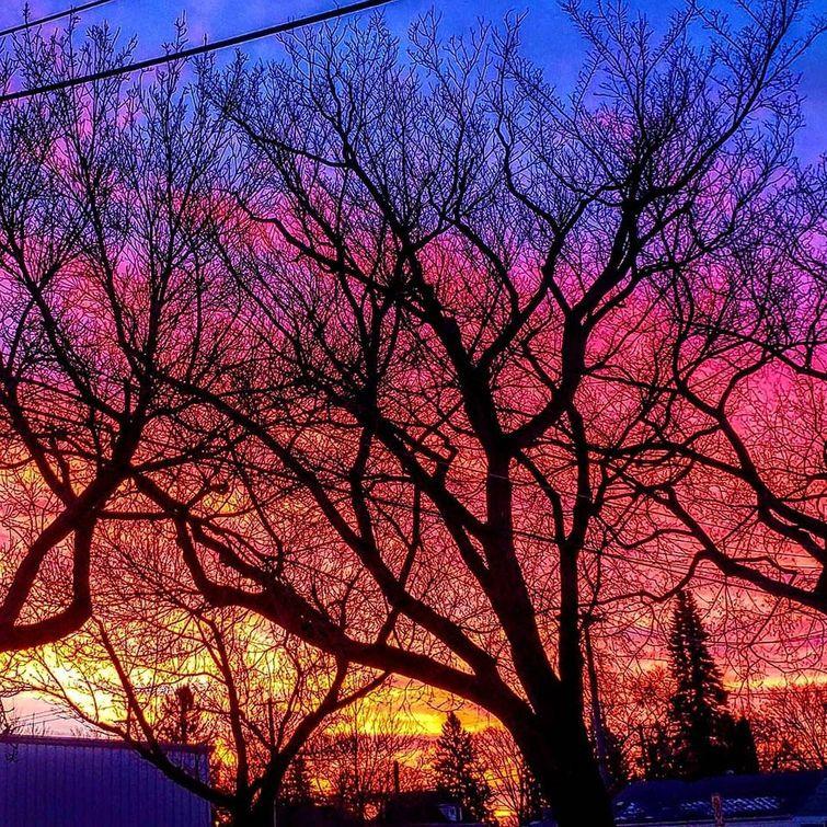 25 природных фотографий, которые заставят вас ахнуть и открыть рот от удивления природные фотографии, удивительные фотографии,