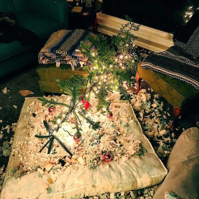 люди у которых было самое худшее Рождество в их жизни, Рождество всё пошло не так