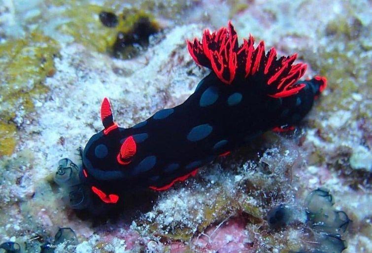 25 природных фотографий, которые заставят вас ахнуть и открыть рот от удивления природные фотографии, удивительные фотографии,