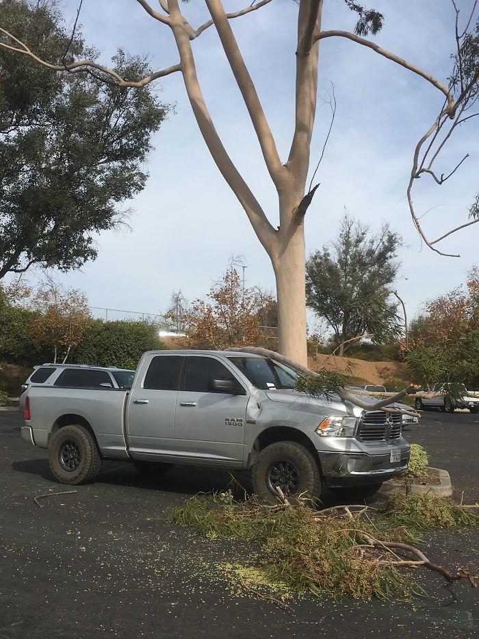люди у которых было самое худшее Рождество в их жизни, Рождество всё пошло не так