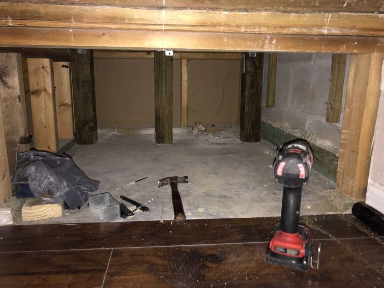 Люди, которые вывели уход за животными на совершенно смехотворный уровень уход за животными, смешные домашние животные, домашние животные истории