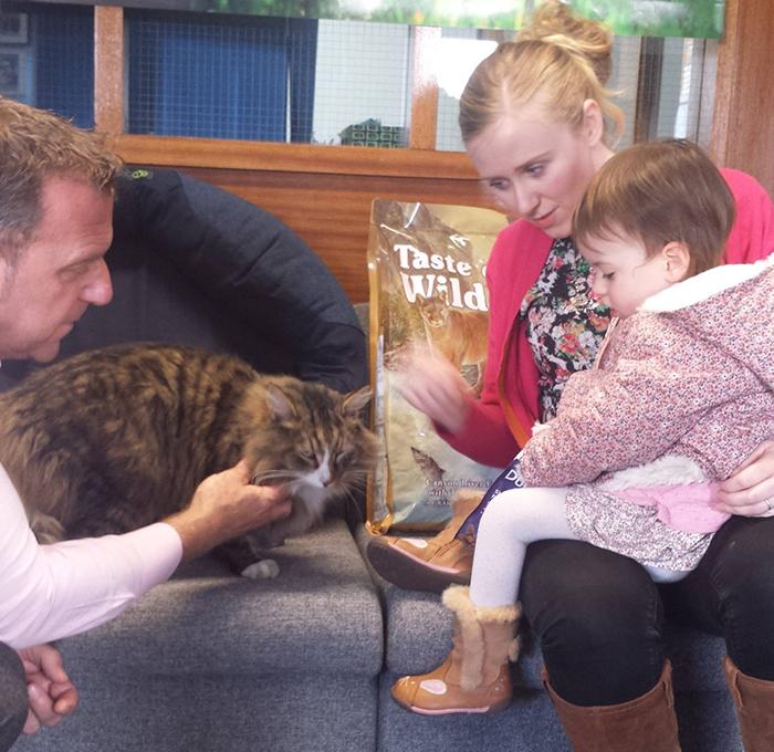 Через год владельцы нашли своего пропавшего кота, пропавший кот оказался вдвое больше прежнего, кот Клайв, Таня и Джонатан Айронс