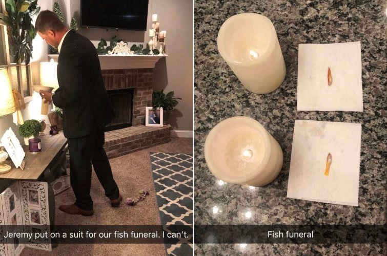 Люди, которые вывели уход за животными на совершенно смехотворный уровень уход за животными, смешные домашние животные, домашние животные истории