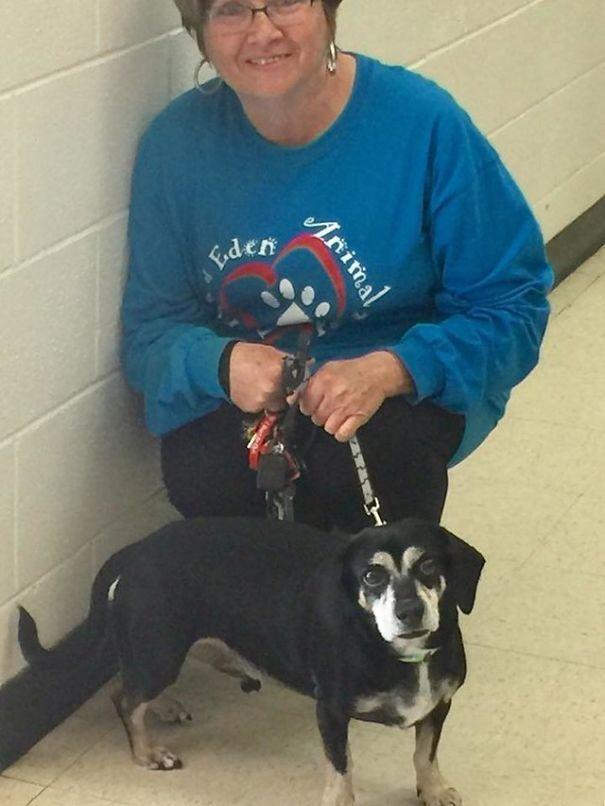  владелец оставляет свою собаку в переполненном приюте, собака Джаспер 