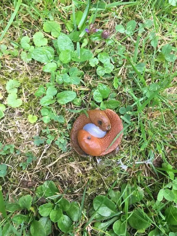 что это за вещи, странные вещи, фото странных вещей, происхождение странных вещей