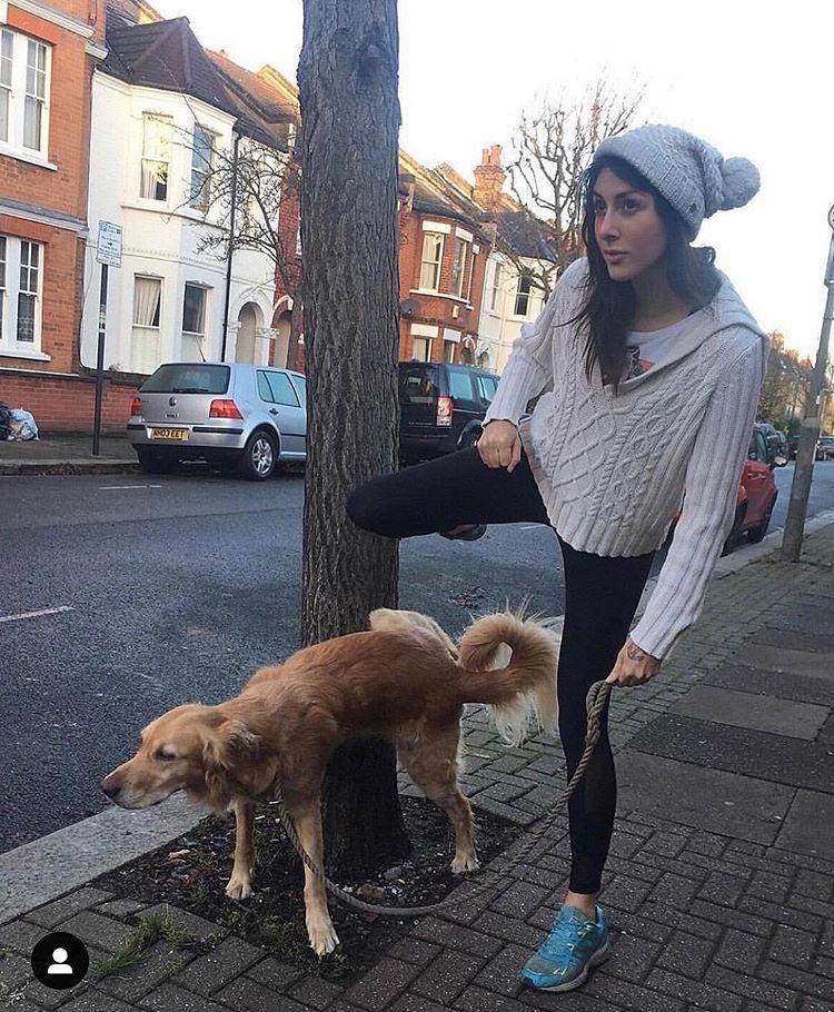 Девушка одержима своей собакой по кличке Хьюго,  Урсула Дафни Эйтчисон, Ursula Daphne Aitchison, ретривер Хьюго