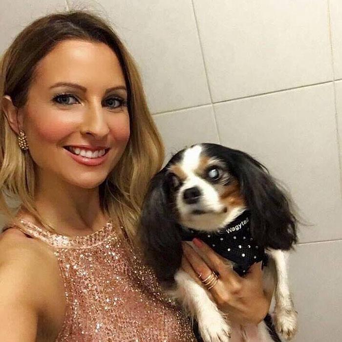 Правительство Великобритании запретило продажу щенков и котят в зоомагазинах Правительство Великобритании запретило продажу щенков и котят в зоомагазинах, собака Люси