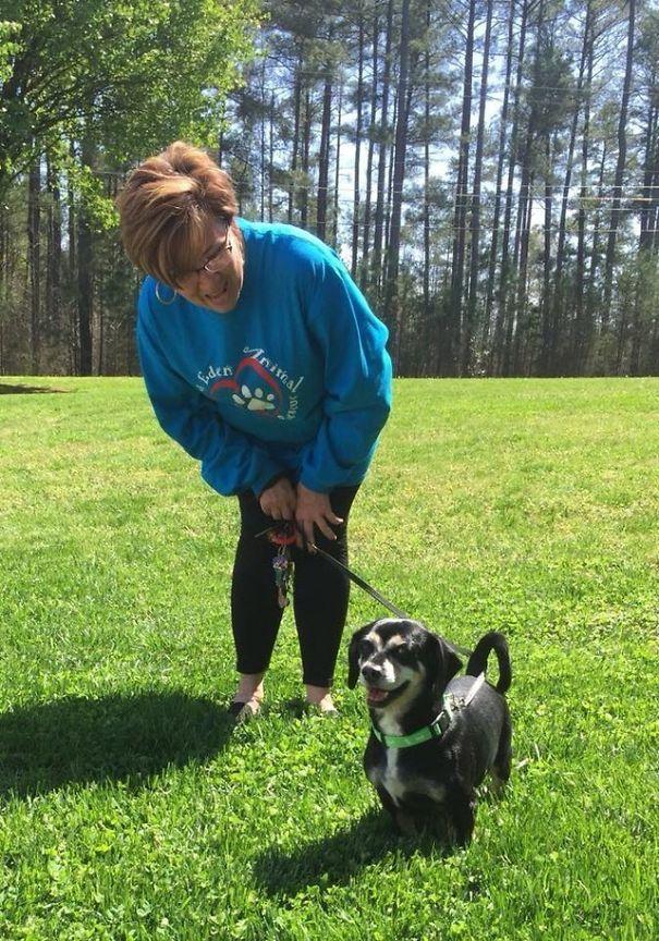  владелец оставляет свою собаку в переполненном приюте, собака Джаспер 