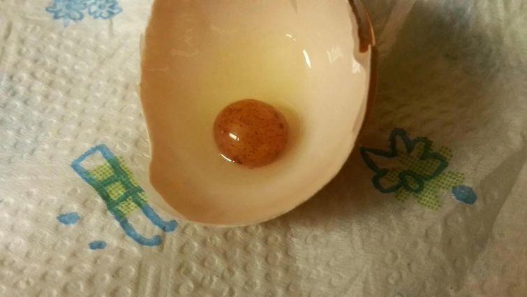 вещи внутри других вещей, вещи найденные в других вещах, неожиданно найденные вещи