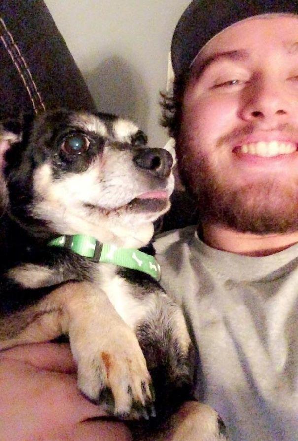  владелец оставляет свою собаку в переполненном приюте, собака Джаспер 