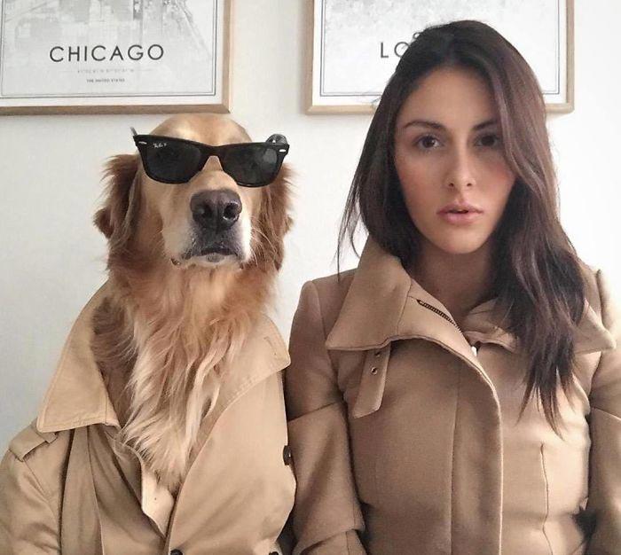 Девушка одержима своей собакой по кличке Хьюго,  Урсула Дафни Эйтчисон, Ursula Daphne Aitchison, ретривер Хьюго