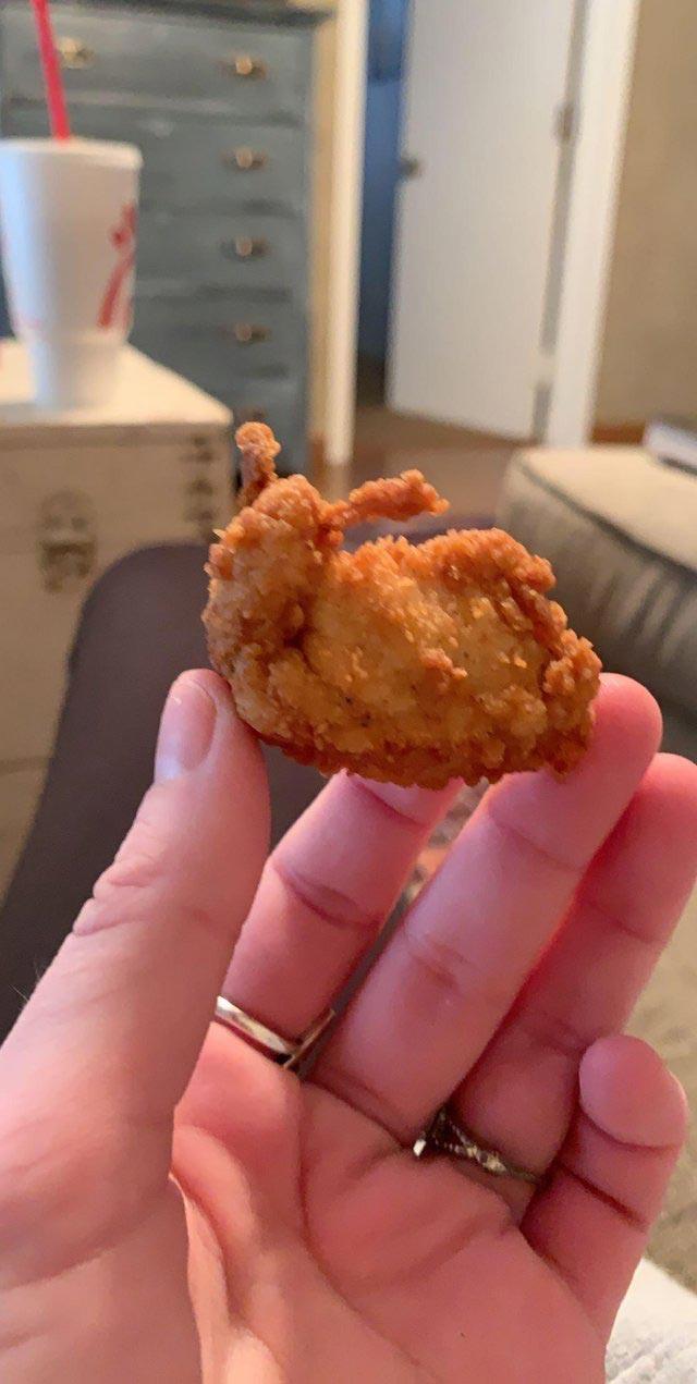 20 удивительных вещей, которых вы раньше никогда не видели удивительные вещи, вещи которых вы раньше никогда не видели