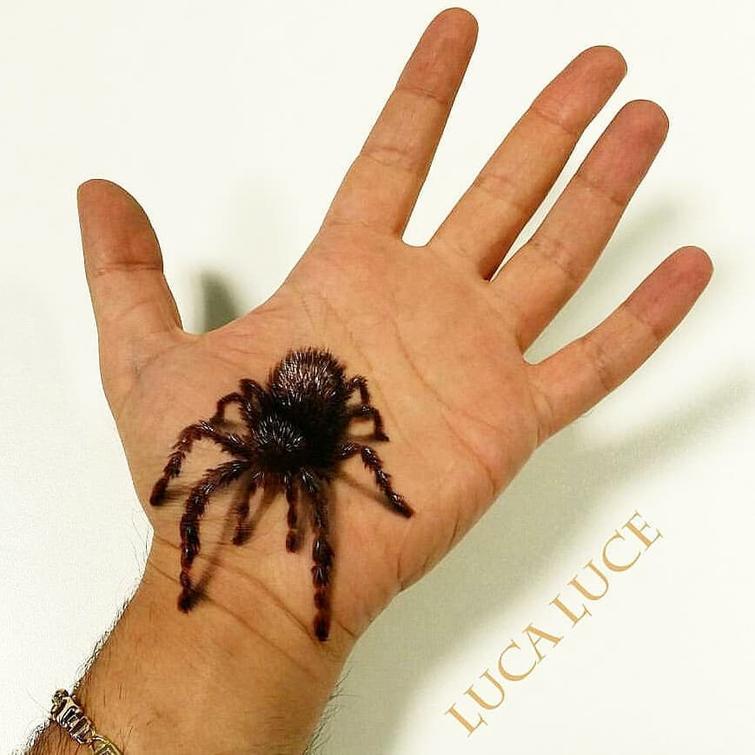 визажист мастер 3D-иллюзий, Лука Люче, Luca Luce