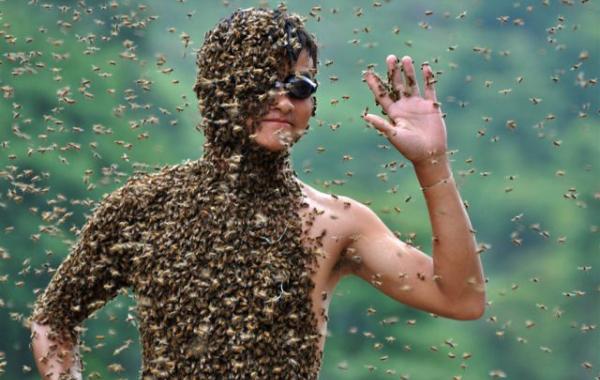 Одежда из живых пчёл