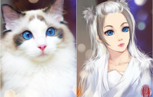 художник рисует кошки в персонажи аниме, художник превращает кошек в персонажей аниме