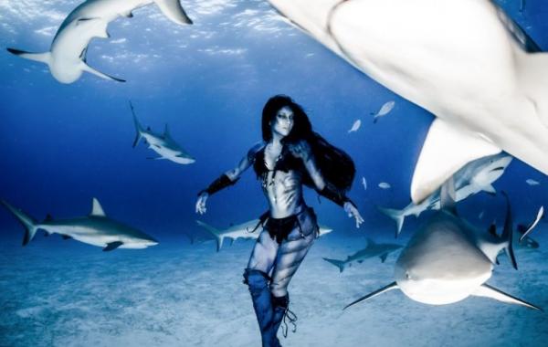 Смертельно опасные подводные танцы с тигровыми акулами