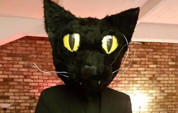 костюм в виде кота на Хэллоуин, надел костюм в виде своего кота