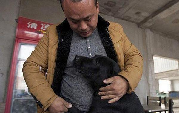 Ван Яна, Wang Yan, китаец спас более 100 собак, выкупил собачью бойню, выкупил бойню сделал приют для собак