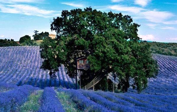 красивый и уютный дом на дереве, La Suite Bleue, La Plantata, дом на дереве Италия