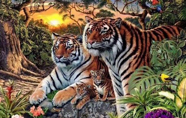 сколько тигров на картинке, найти всех тигров на картинке, сколько спрятанных тигров на картинке