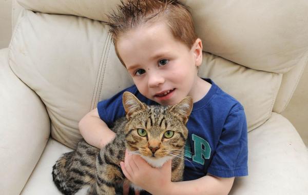 Смадж Smudge кот, кот спас мальчика, кошка года Британии National Cat of the Year  