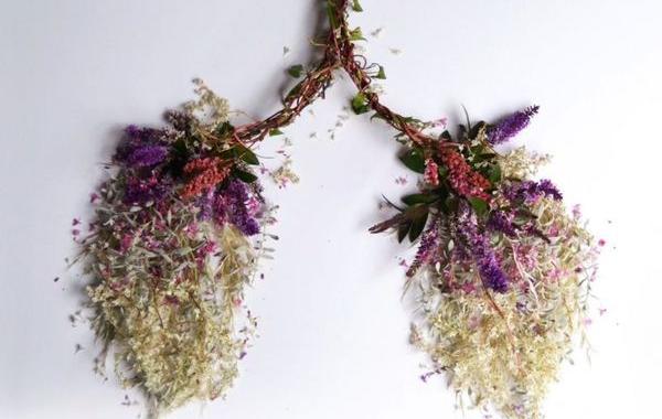 Внутренние органы человека, сделанные из растений от Камилы Карлоу