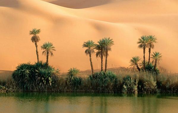 15 удивительных ландшафтов пустынь