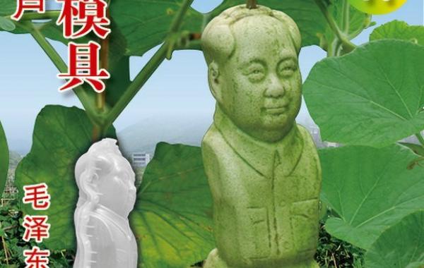 Фрукты и овощи в форме Мао Цзэдуна, Иисуса, Санта Клауса и других великих личностей, выращенные на китайских грядках