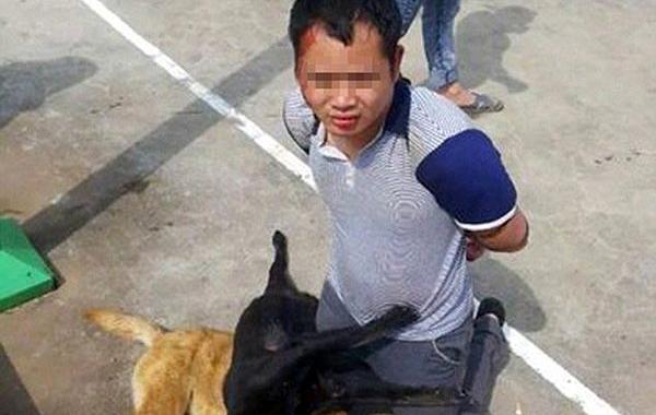 в китае поймали оров собак, в китайской деревне поймали убийц собак, расправились с убийцами собак, наказали убийц собак