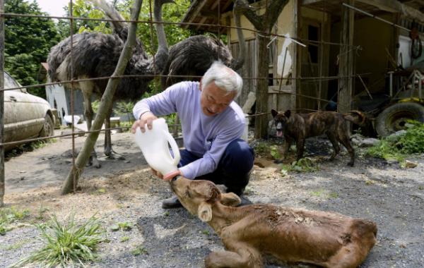 единственный житель Томиока,  радиоактивный человек, Наото Мацумура Naoto Matsumura