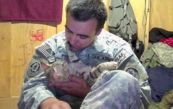 Американский солдат привёз из Афганистана кота, Джесси Нотт