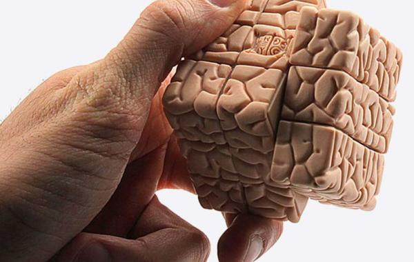 как взбодрить мозг, эффективное для мозга