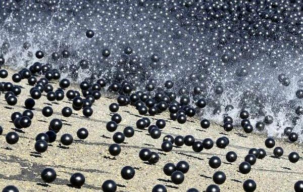 96 млн черных шаров, черные пластиковые шары в водохранилище, пластиковые шары от испарения воды