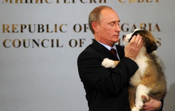 Фото Путина для сайта знакомств , милый , суровый