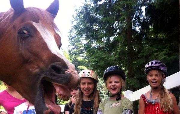 photobomb animals, животные фотобомбы, животные испортившие фотографии