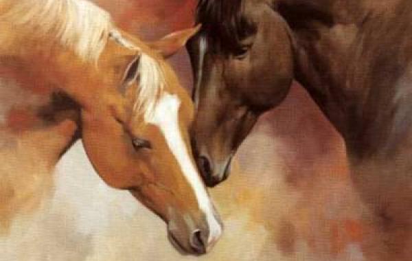 Любовь к лошадям Spartaco Lombardo
