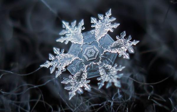 Макро фотографии снежинок Алексей Клятов