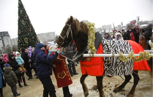 Мертвая лошадь и травма детской психики в Иваново