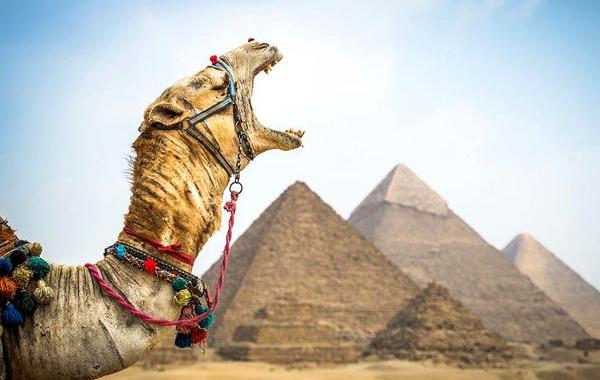 National Geographic, лучшие фотографии National Geographic, National Geographic за июнь 2015
