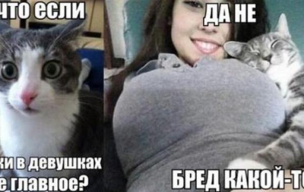 Позитив и юмор в смешных фотографиях 