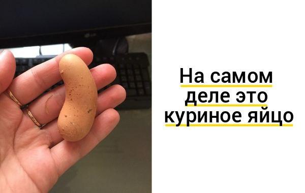 Можно ли на фотографии закрыть рот