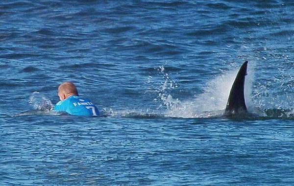 акула напала на сёрфера в прямом эфире, акула напала на сёрфера, Мик Фэннинг, Mick Fanning, акула напала J-Bay 2015