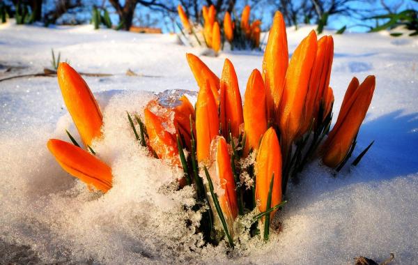 зима весна погода страны март