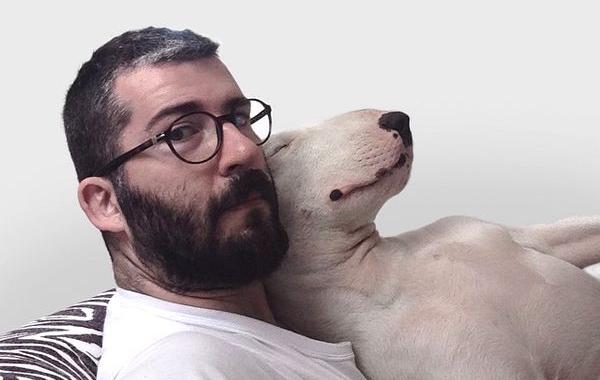 бультерьер, Рафаэль Мантессо, Rafael Mantesso, бультерьер и стены