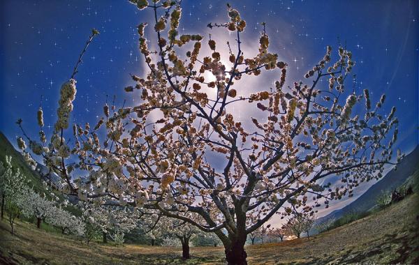 Международный конкурс фотографии «Earth and Sky Photo»: Европа, Африка и Заполярье