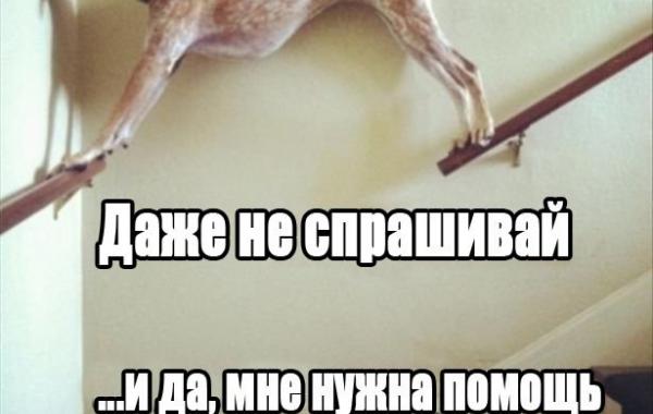 в нужный момент, поймать кадр, лови момент