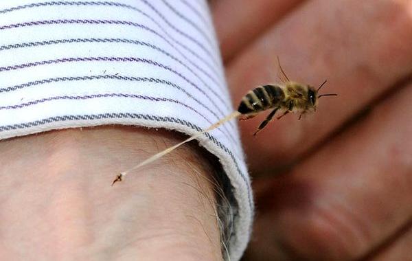 впечатляющие фотографии, захватывающие фотографии