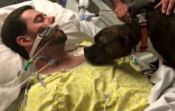 семья привела собаку в больницу попрощаться с хозяином