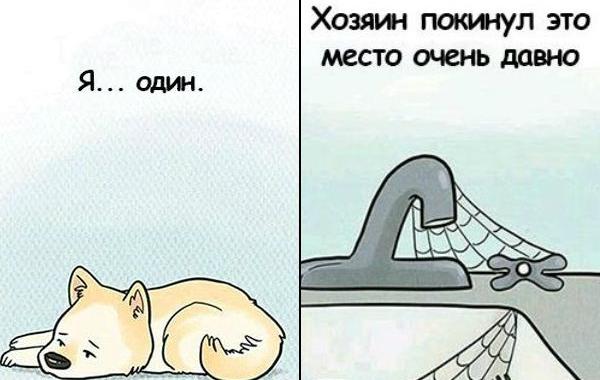 что чувствую собаки когда остаются дома одни, комикс о собаке, собака в одиночестве комикс