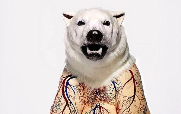 скульптуры животных содранные шкуры, Дебора Саймон, Deborah Simon, Flayed Animals